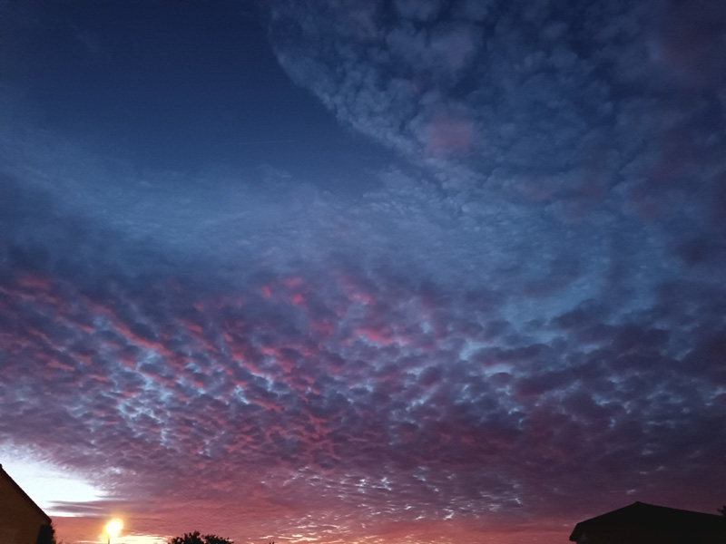 Mois de Janvier 2026