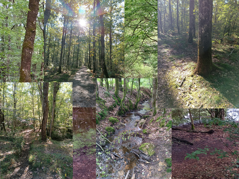 Po&egrave;me de janvier 2026