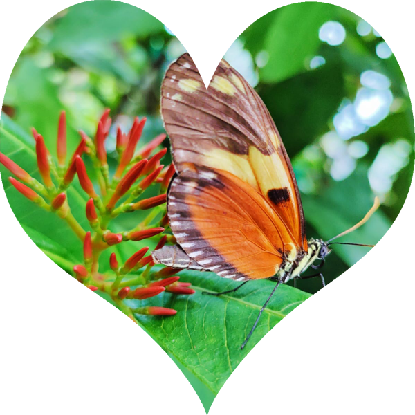 Mois de F&eacute;vrier 2026