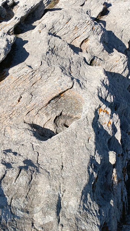 Mois de Novembre 2025